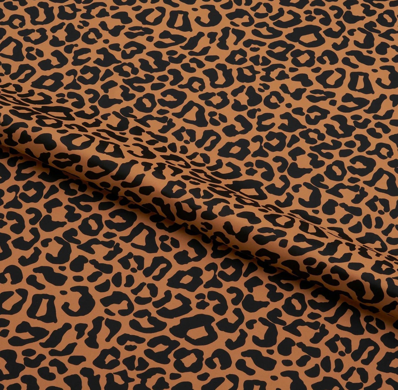 Animalia