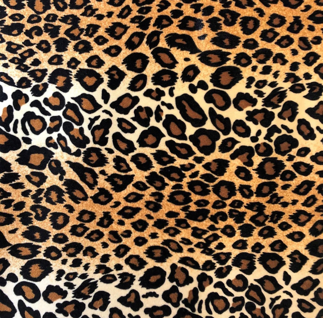 Animalia Velvet