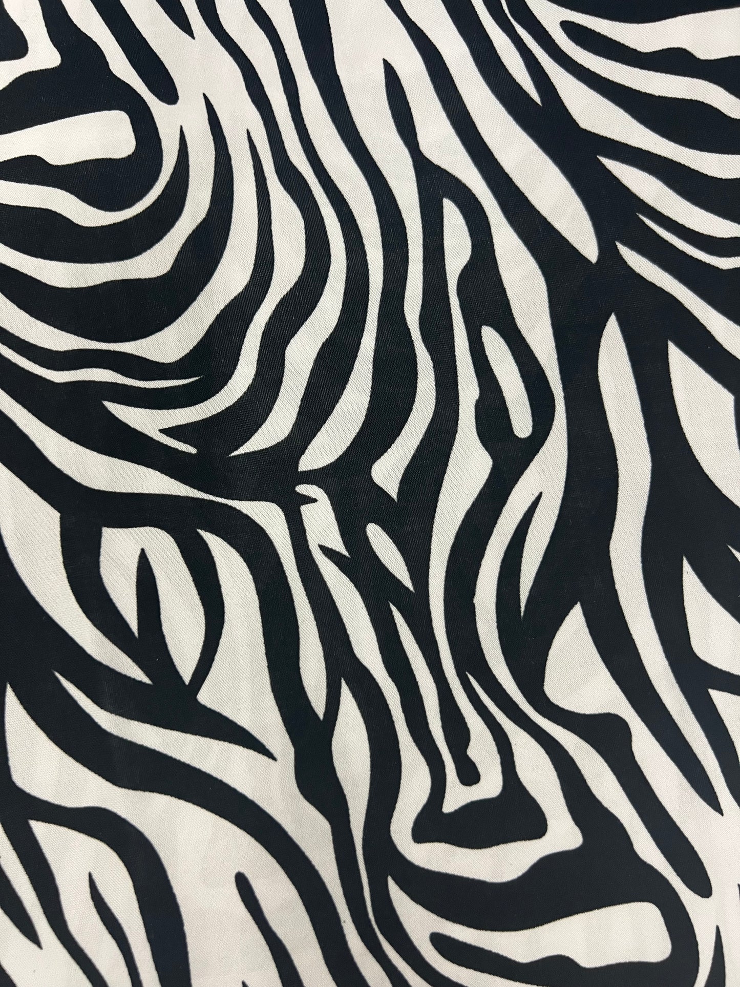 Playa Zebra